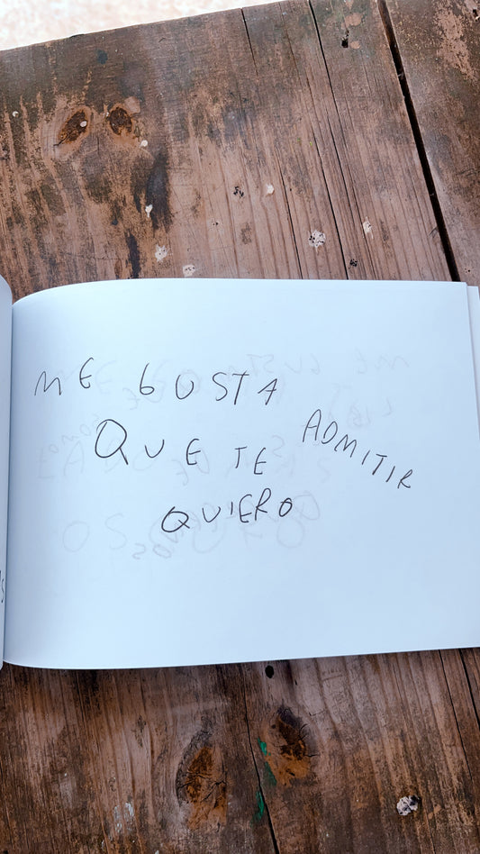 Otro Libro para Decirte Todo lo que Me Gusta de Ti – Mayoreo 5 a 100 piezas | Torna Gris - Torna Gris - Artista Mexicano