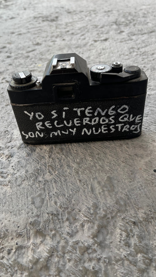 Cámara Vintage Intervenida a Mano – Torna Gris - Torna Gris - Artista Mexicano
