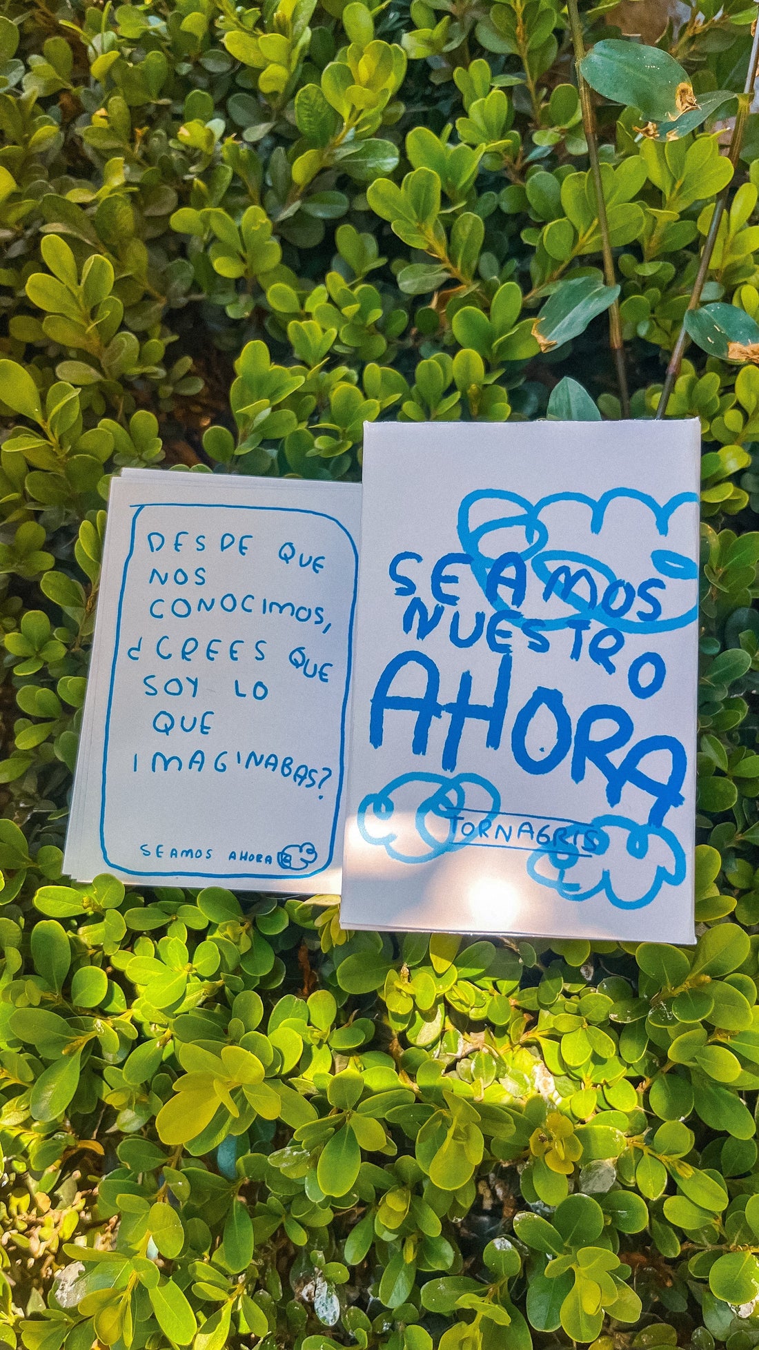 ¿Cuándo fue la última vez que tuviste una conversación de verdad con tus amigos? Seamos Nuestro Ahora tiene la respuesta - Torna Gris - Artista Mexicano