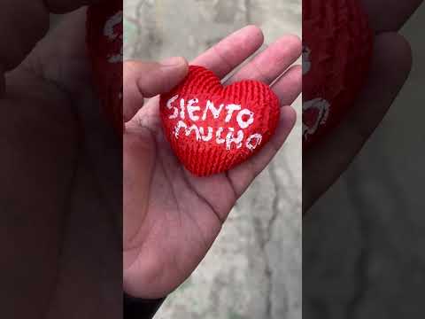 Siento mucho #sentir #corazoncito #fyp - Torna Gris - Artista Mexicano