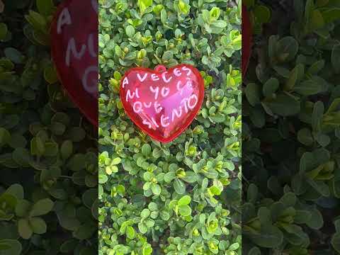 A veces ni yo sé que siento #sentir #amar #corazoncito - Torna Gris - Artista Mexicano