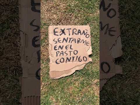 Extraño sentarme en el pasto contigo #extrañar #pasto #contigo - Torna Gris - Artista Mexicano
