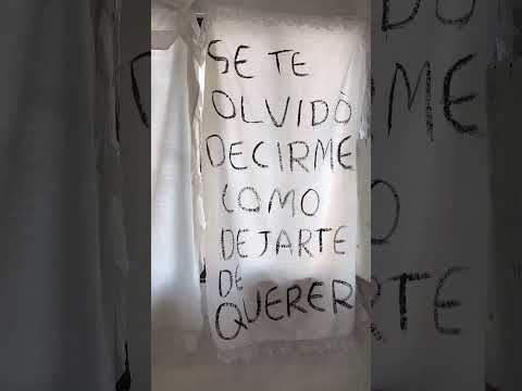 Pues si, se te olvidó decirme cómo dejarte de querer #olvidar #fyp - Torna Gris - Artista Mexicano