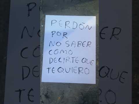 Perdón por a veces no saber cómo decirte que te quiero, pero te amo de corazón #perdon #quotes - Torna Gris - Artista Mexicano