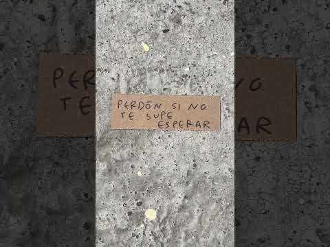Perdón si no te supe esperar, ojalá pronto volver a vernos #perdon #esperarte #verte - Torna Gris - Artista Mexicano