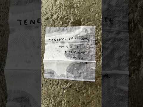 Tenemos pendiente un día ir a caminar en la lluvia #lluvia #caminar #juntos - Torna Gris - Artista Mexicano