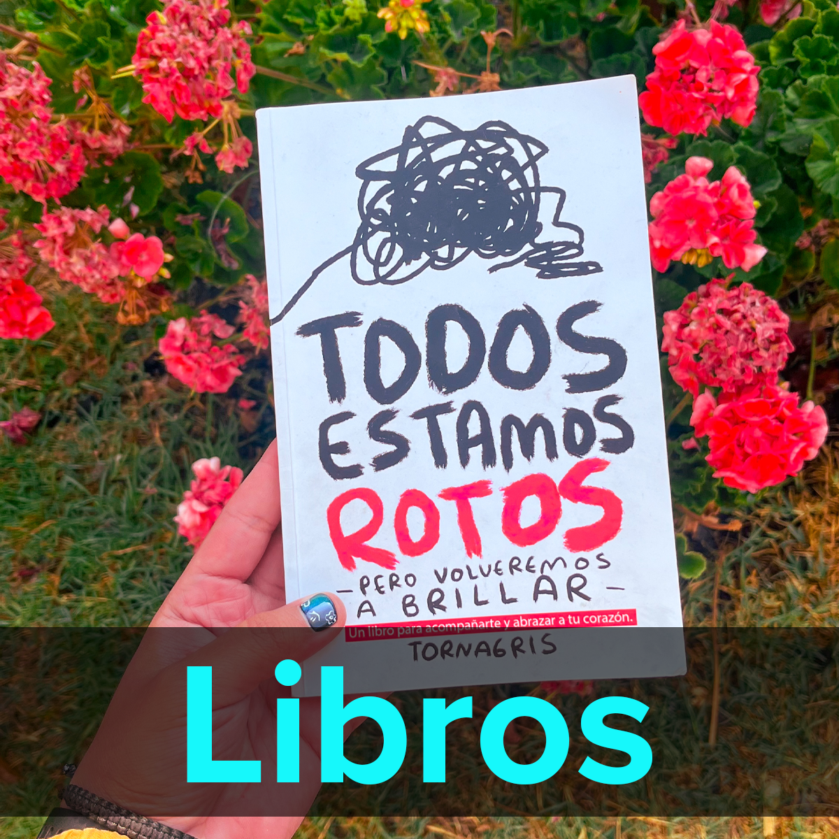 Arte hecho libros Torna Gris - Artista Mexicano