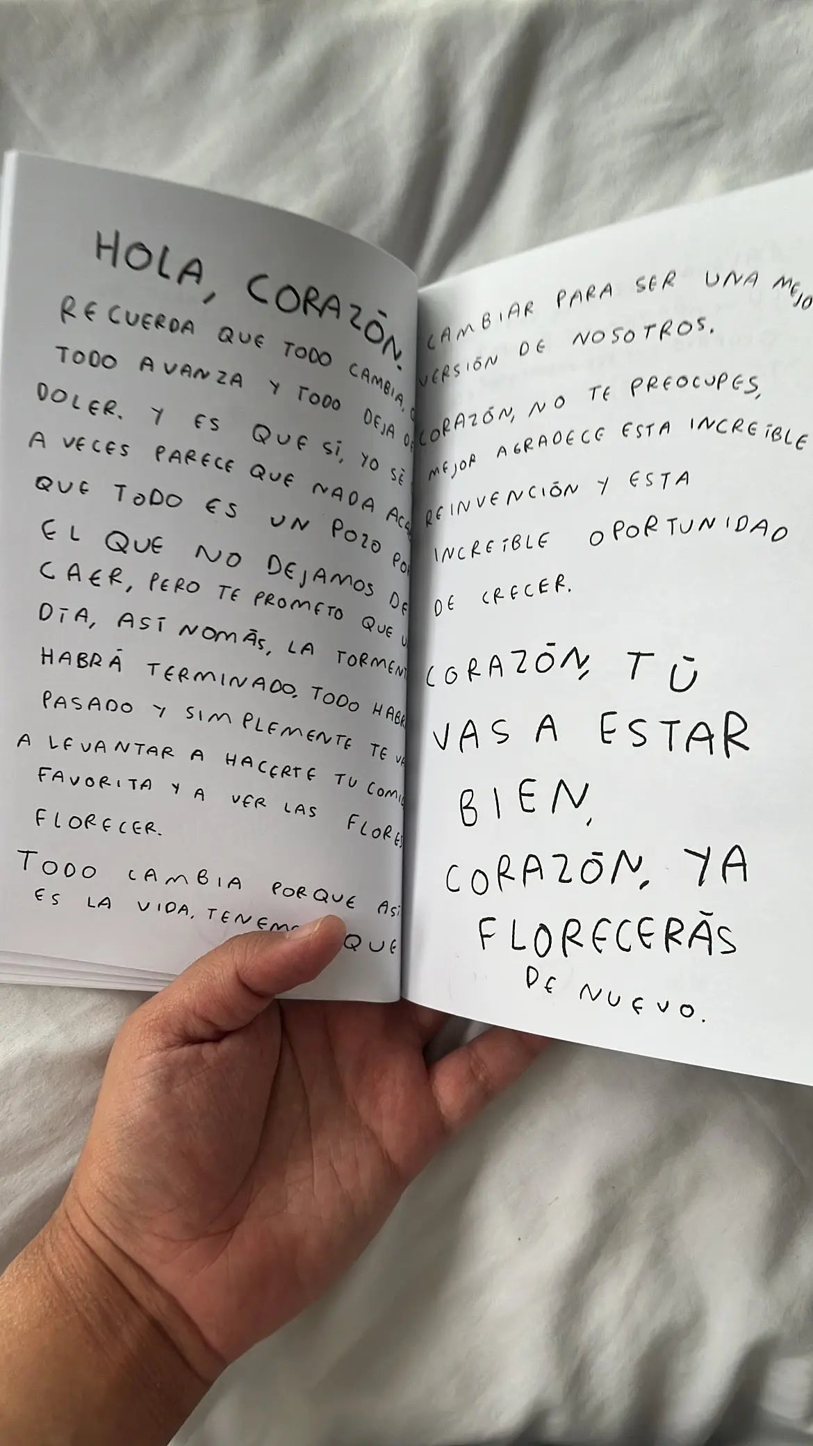 Hola, corazon. Diario para entender tus sentimientos (FISICO) Torna Gris - Artista Mexicano