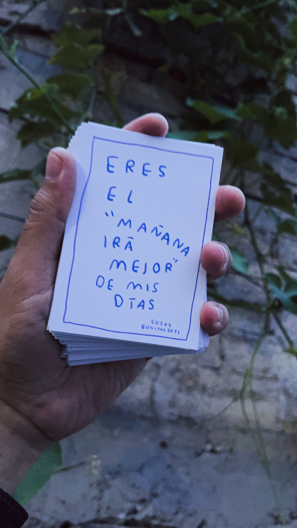 Todas las cosas bonitas de ti — Deck de cartas · Torna Gris - Torna Gris - Artista Mexicano