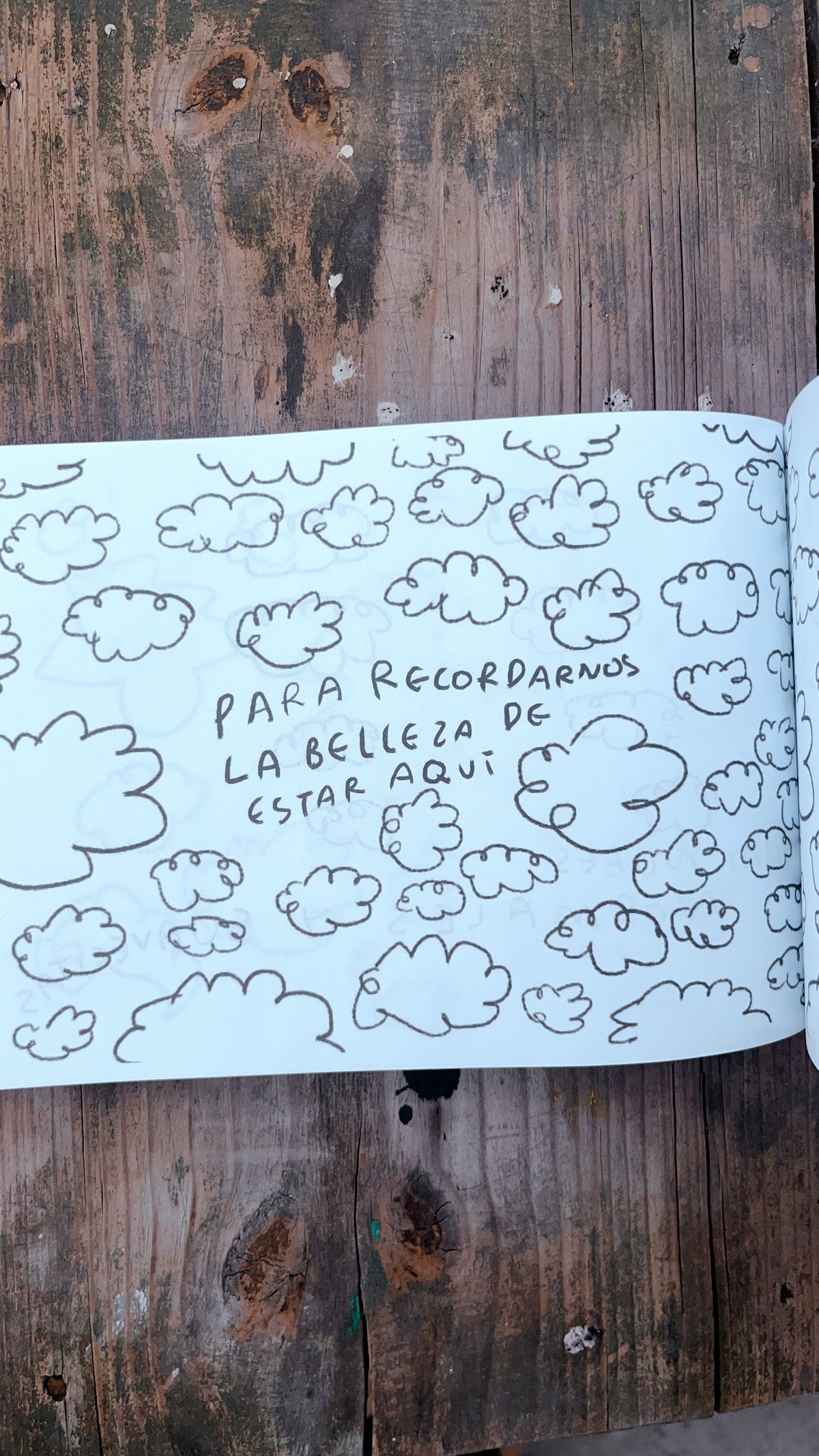 El libro para colorear el cielo | Libro para Colorear, Sanar y sentir - Torna Gris - Artista Mexicano