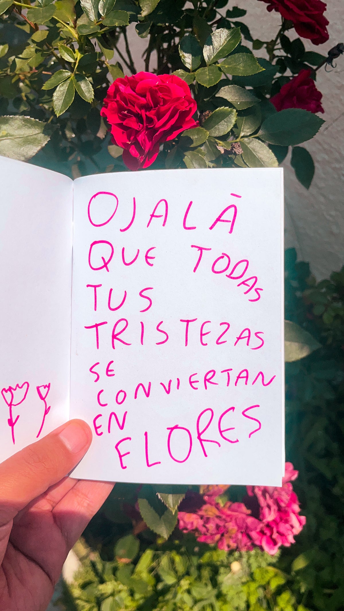 Kit libreta + Hola Corazón | Libreta y Diario de Journaling - Torna Gris - Artista Mexicano