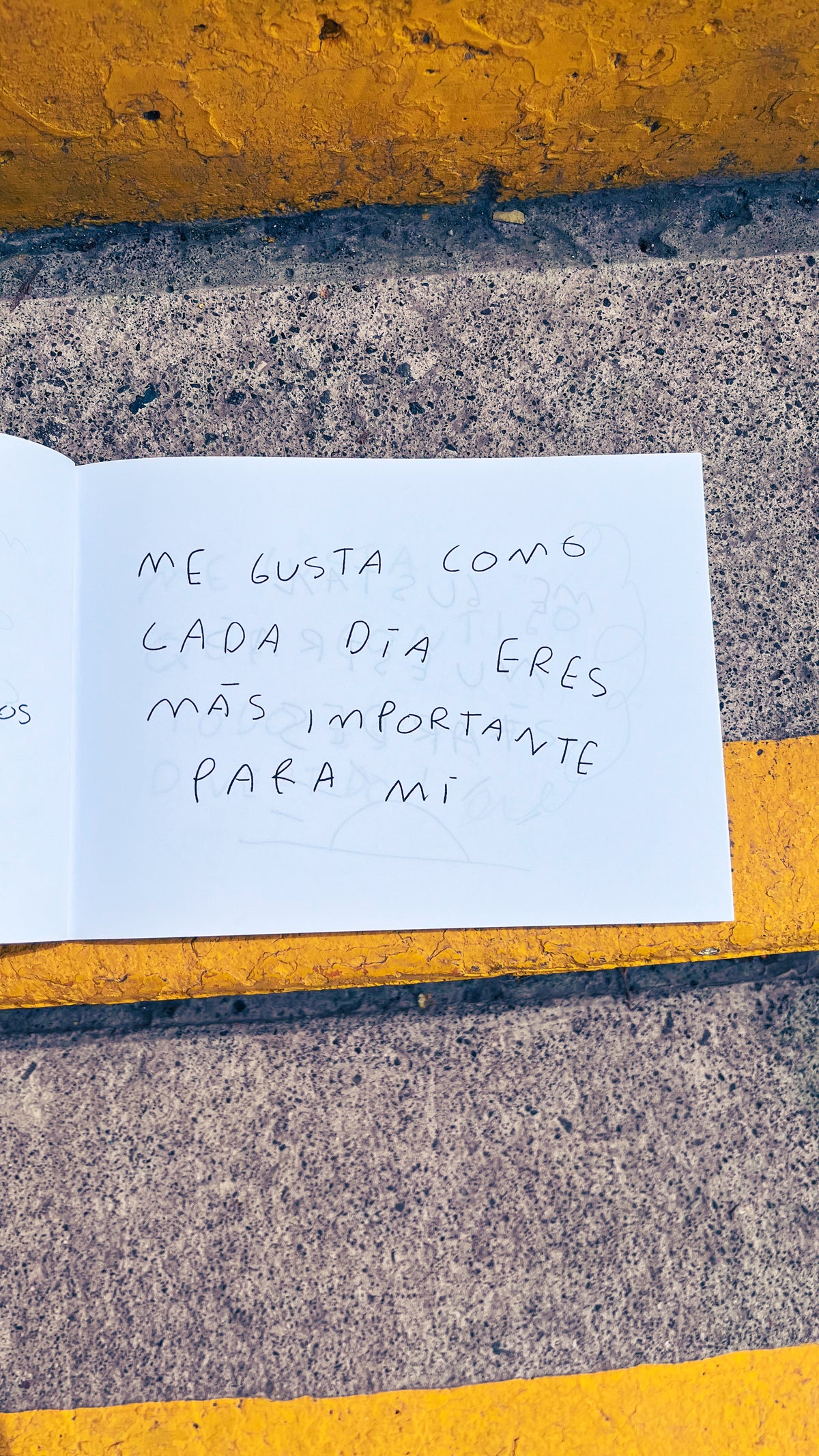 Otro Libro para Decirte Todo lo que Me Gusta de Ti – Libro de Amor para Regalar - Torna Gris - Artista Mexicano