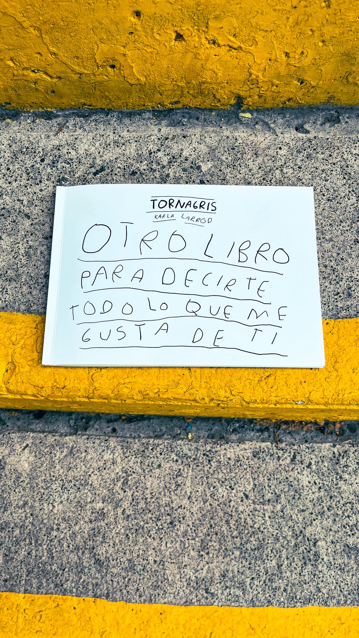 Otro Libro para Decirte Todo lo que Me Gusta de Ti – Libro de Amor para Regalar - Torna Gris - Artista Mexicano