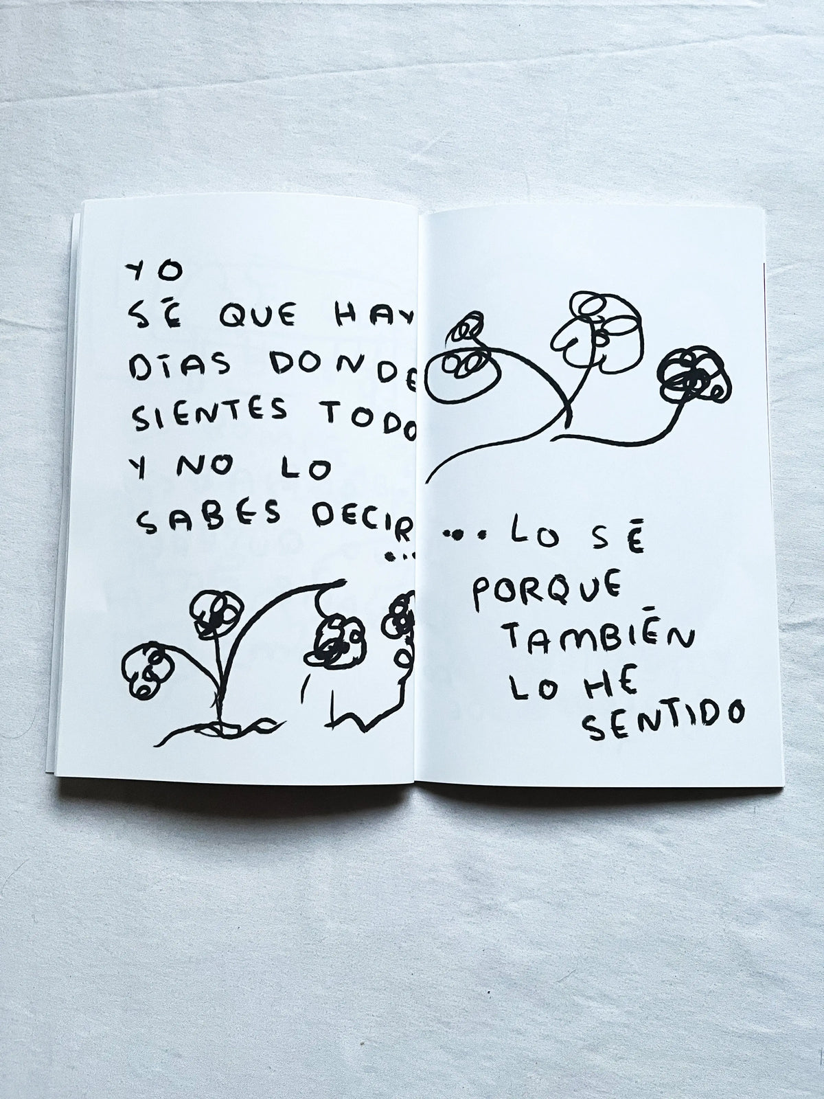 Para mi tu eres increible (libro Fisico) - Torna Gris - Artista Mexicano