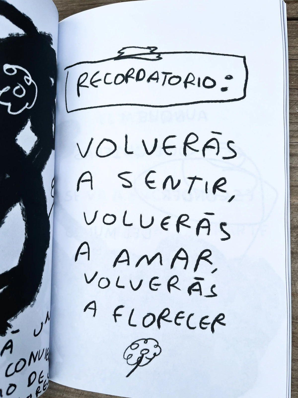 pagina del libro se te olvido decirme como dejarte de querer texto original extraido del libro original 
