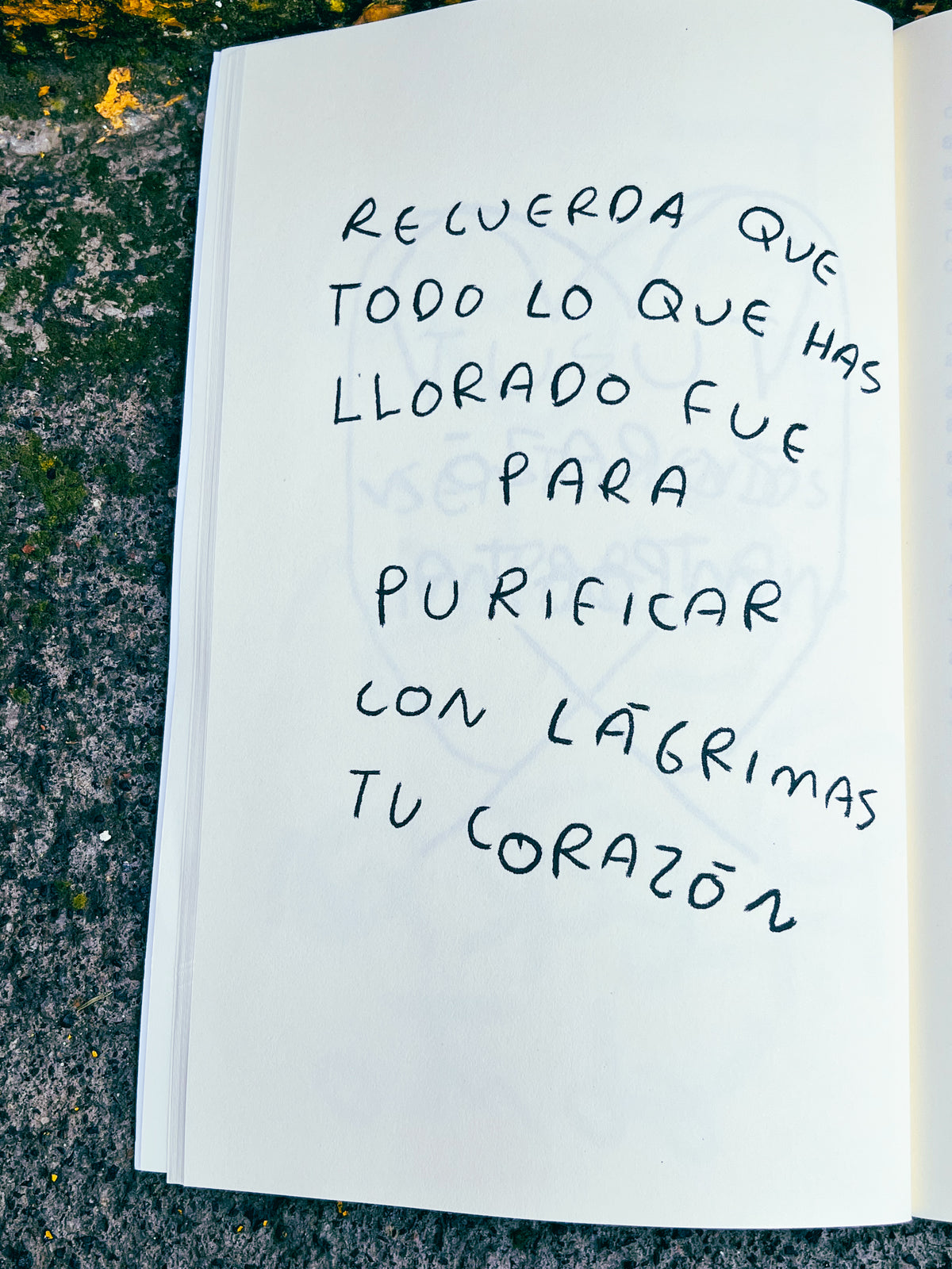 Todos Estamos Rotos – Mayoreo para emprendedores | Torna Gris - Torna Gris - Artista Mexicano
