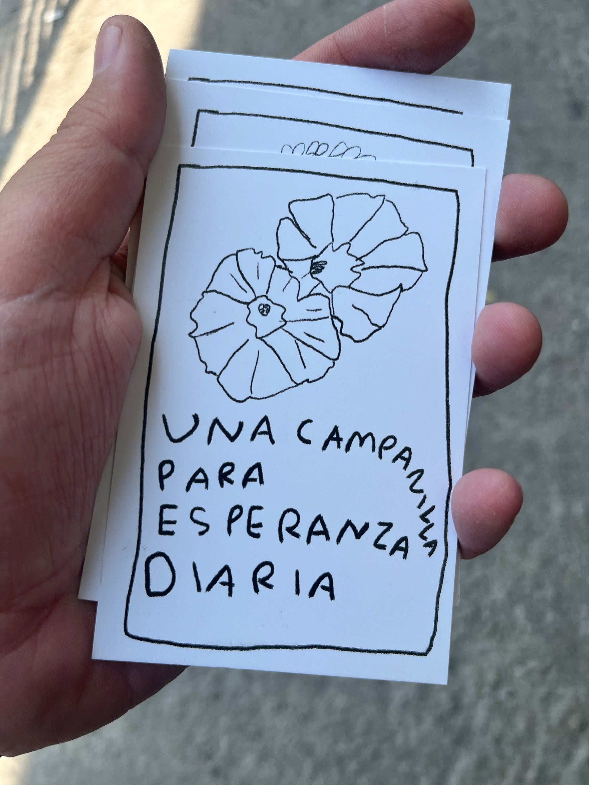 Cartas de flores para regalar (Fisico) - Torna Gris - Artista Mexicano