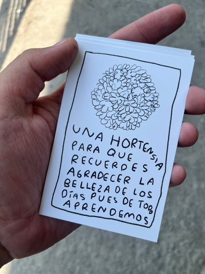 Cartas de flores para regalar (Fisico) - Torna Gris - Artista Mexicano