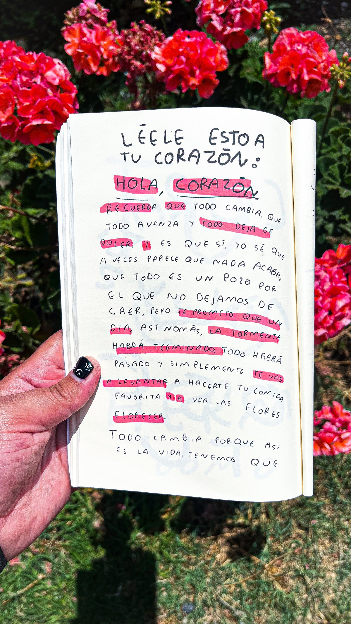 Todos Estamos Rotos | Libro de Amor, Desamor y Sanación - Torna Gris - Artista Mexicano