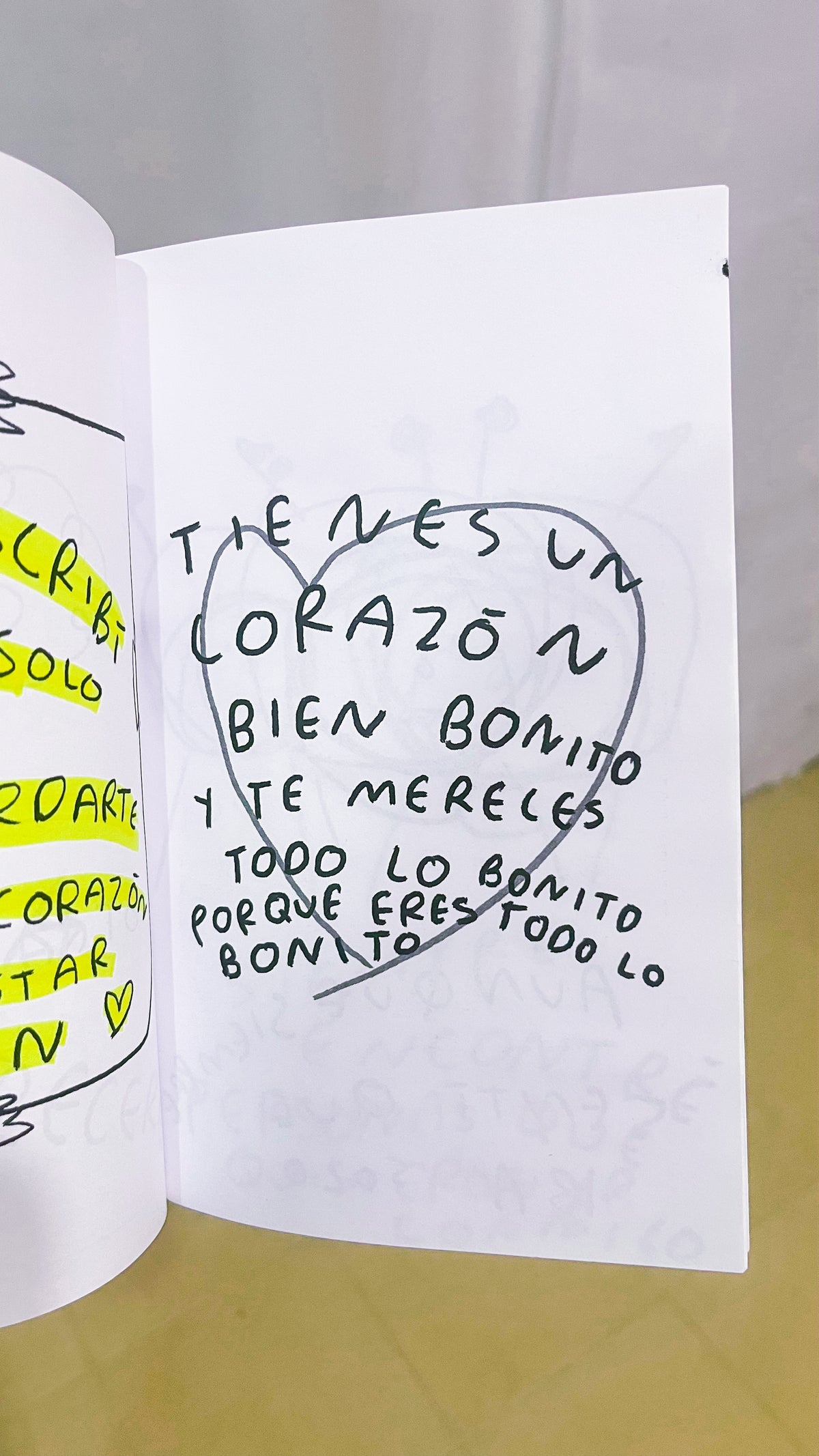 Se Te Olvidó Decirme Cómo Dejarte de Querer – Guia basica para curar un corazon roto por desamor - Torna Gris - Artista Mexicano