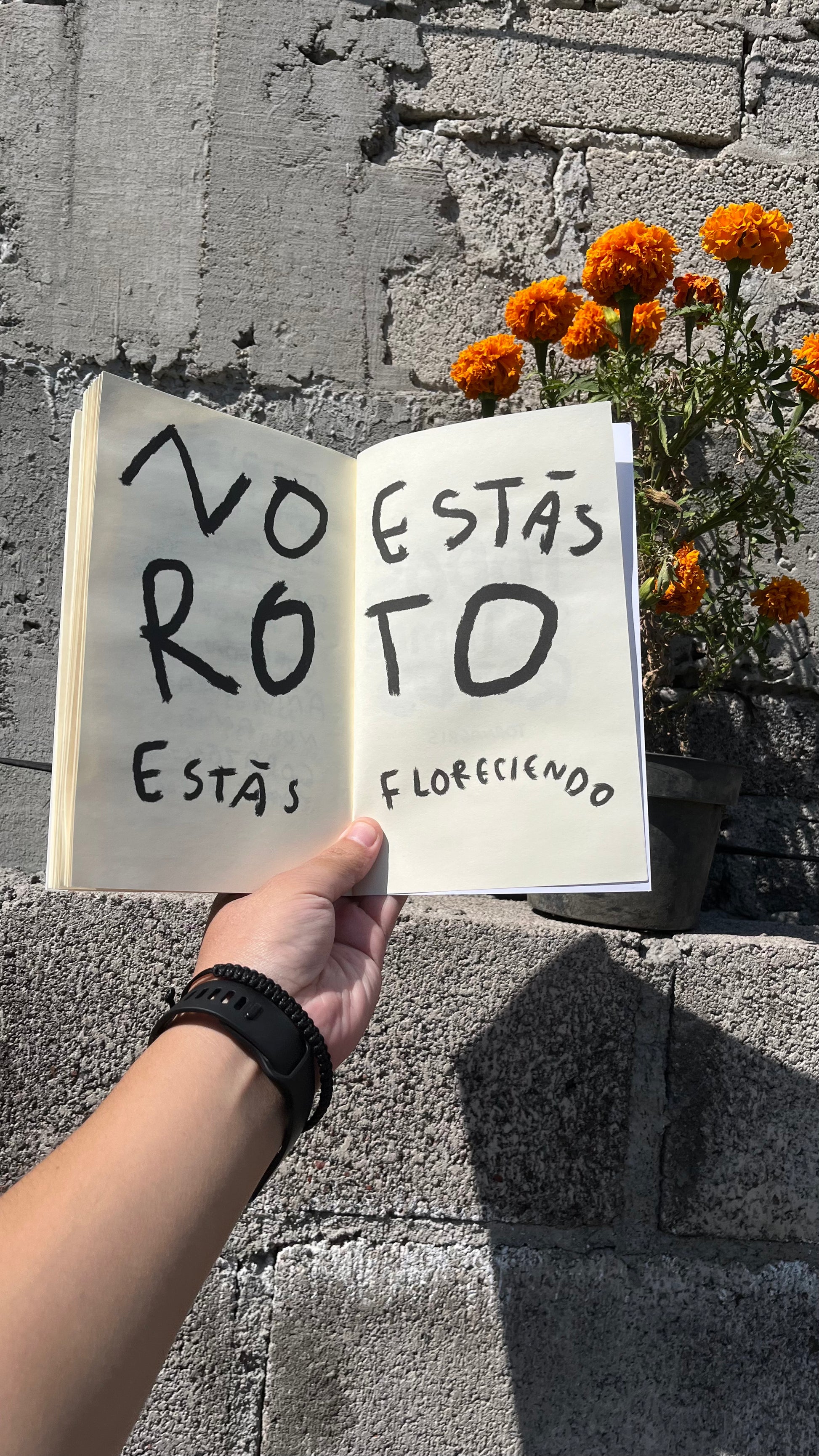 Todos Estamos Rotos | Libro de Amor, Desamor y Sanación - Torna Gris - Artista Mexicano