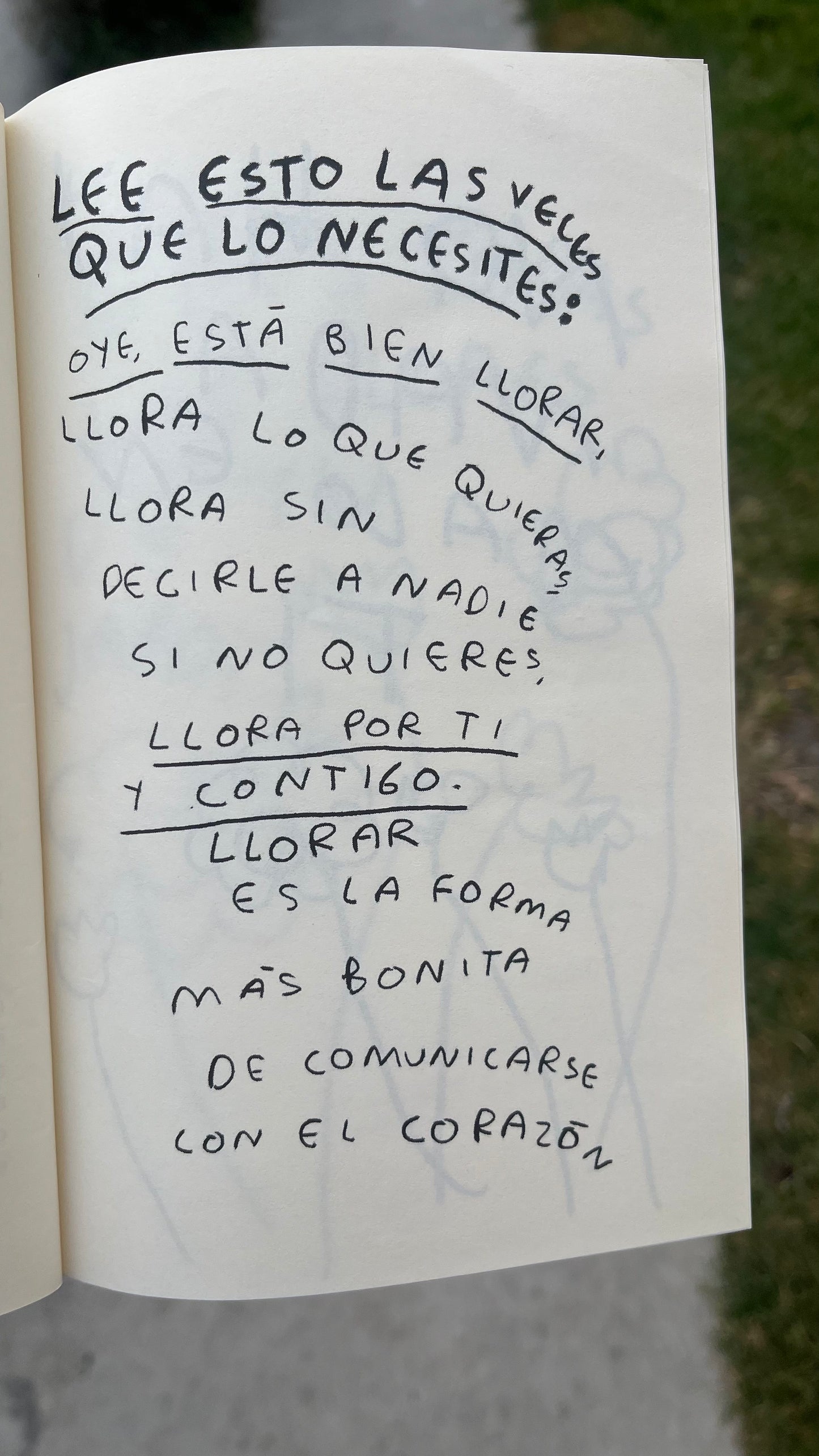 Mix Mayoreo – Todos los Libros de Torna Gris | Elige tu cantidad - Torna Gris - Artista Mexicano
