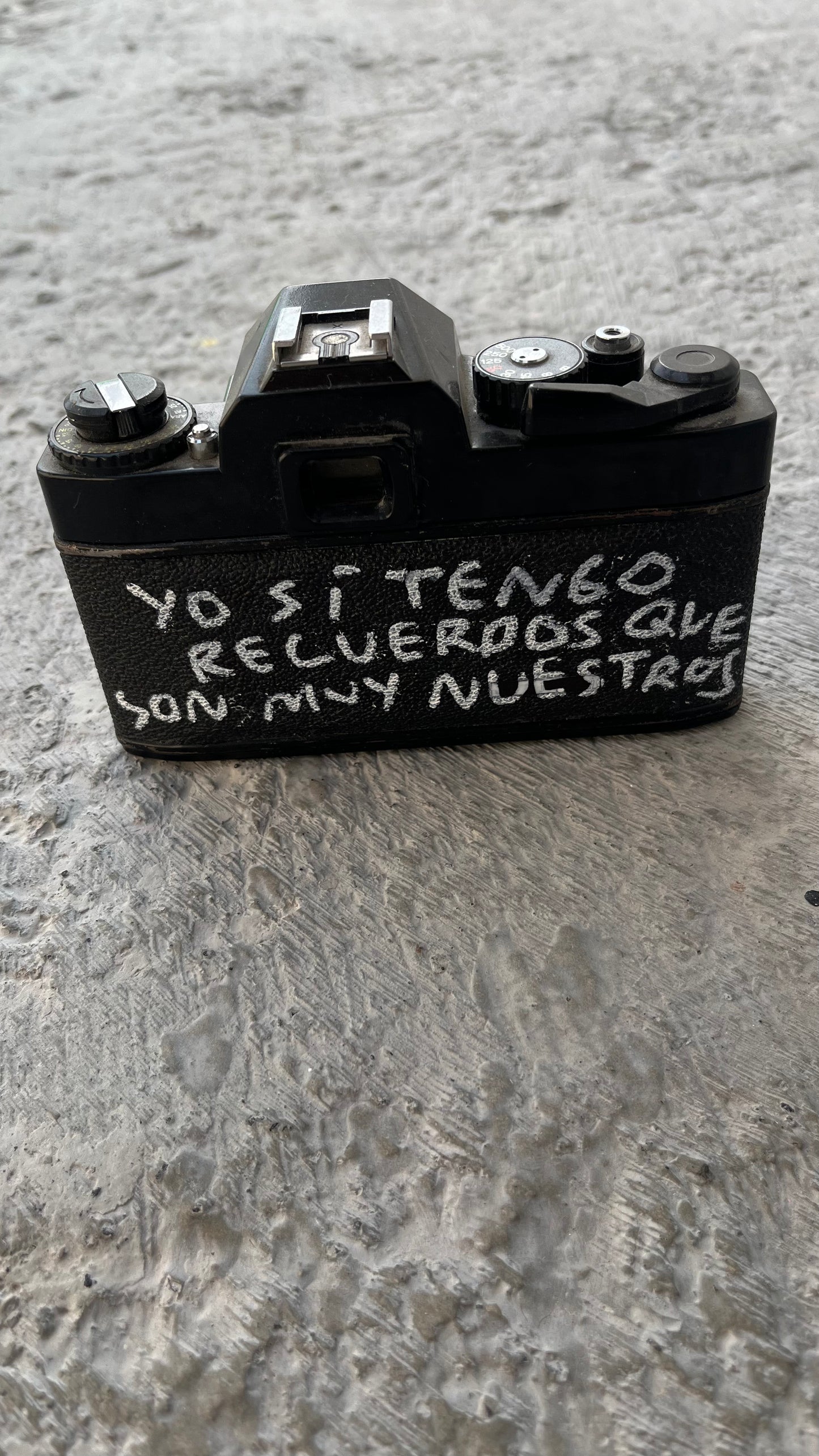 Cámara Vintage Intervenida a Mano – Torna Gris - Torna Gris - Artista Mexicano