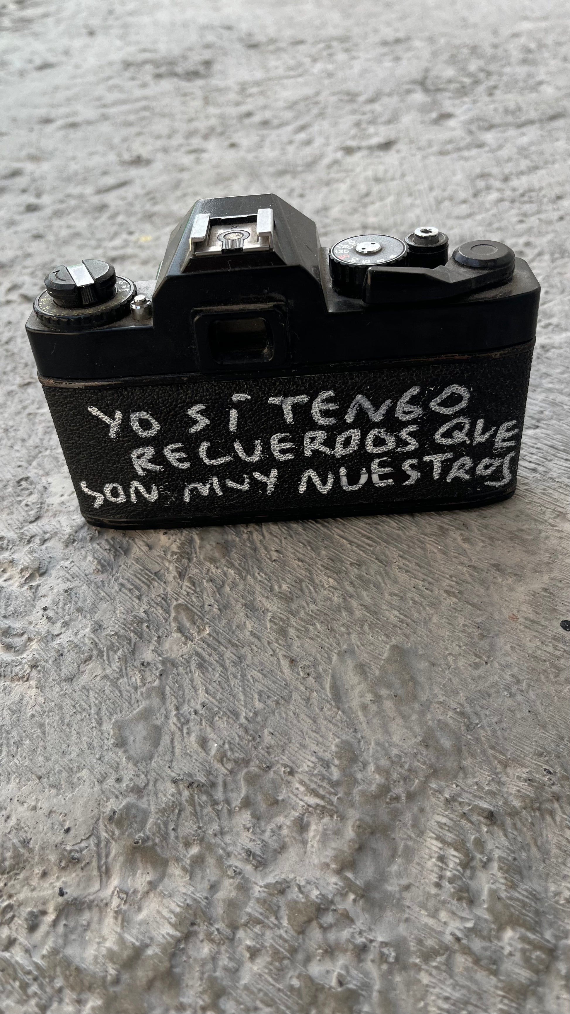 Cámara Vintage Intervenida a Mano – Torna Gris - Torna Gris - Artista Mexicano