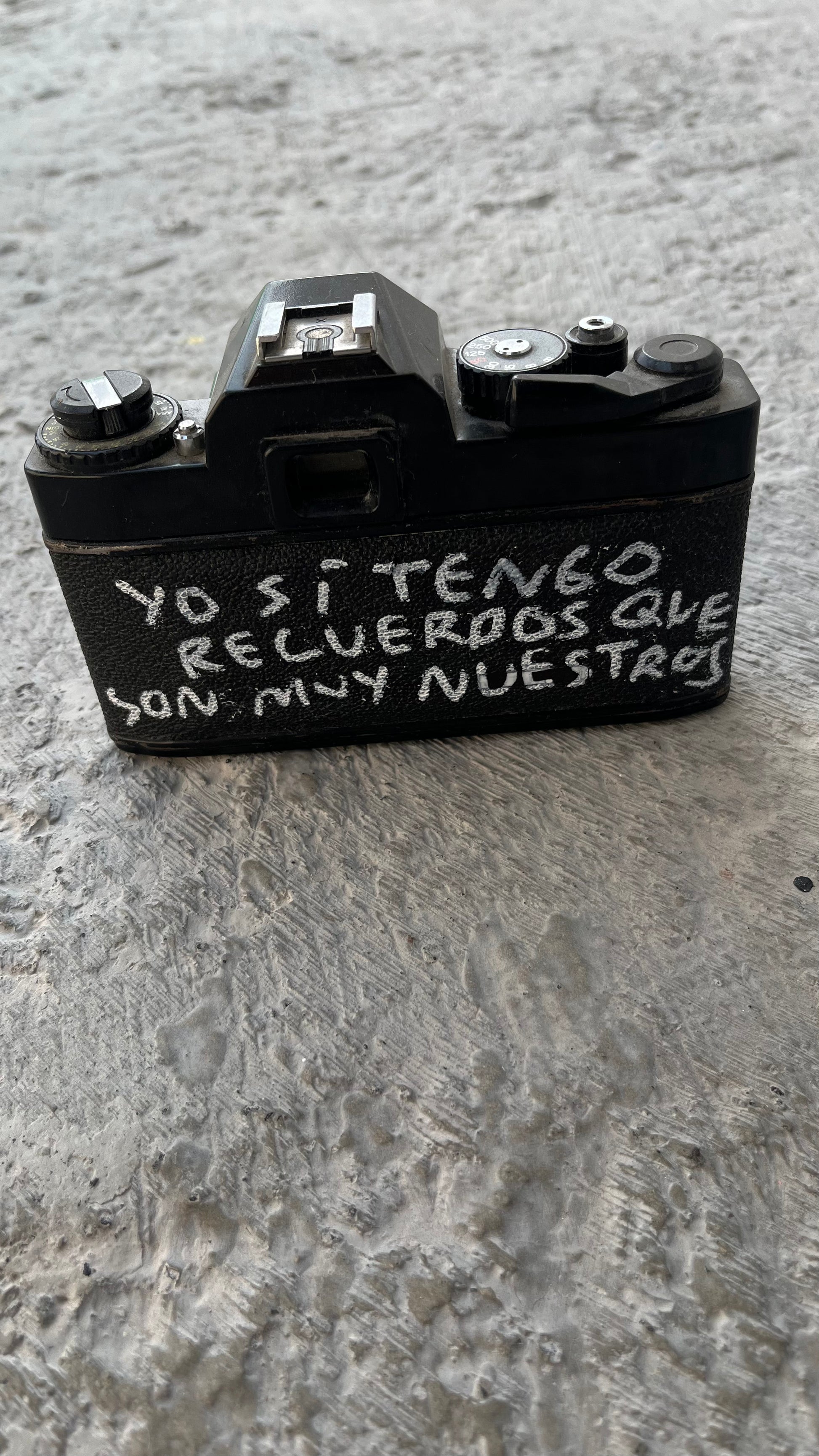 Cámara Vintage Intervenida a Mano – Torna Gris - Torna Gris - Artista Mexicano