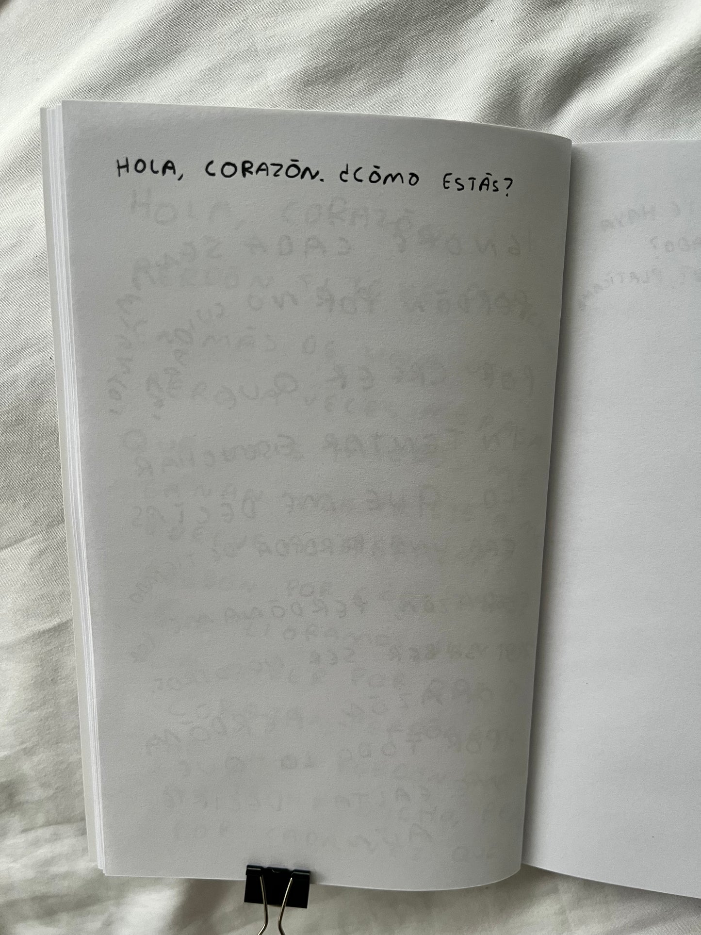 Hola, corazon. Diario para entender tus sentimientos (FISICO) Torna Gris - Artista Mexicano