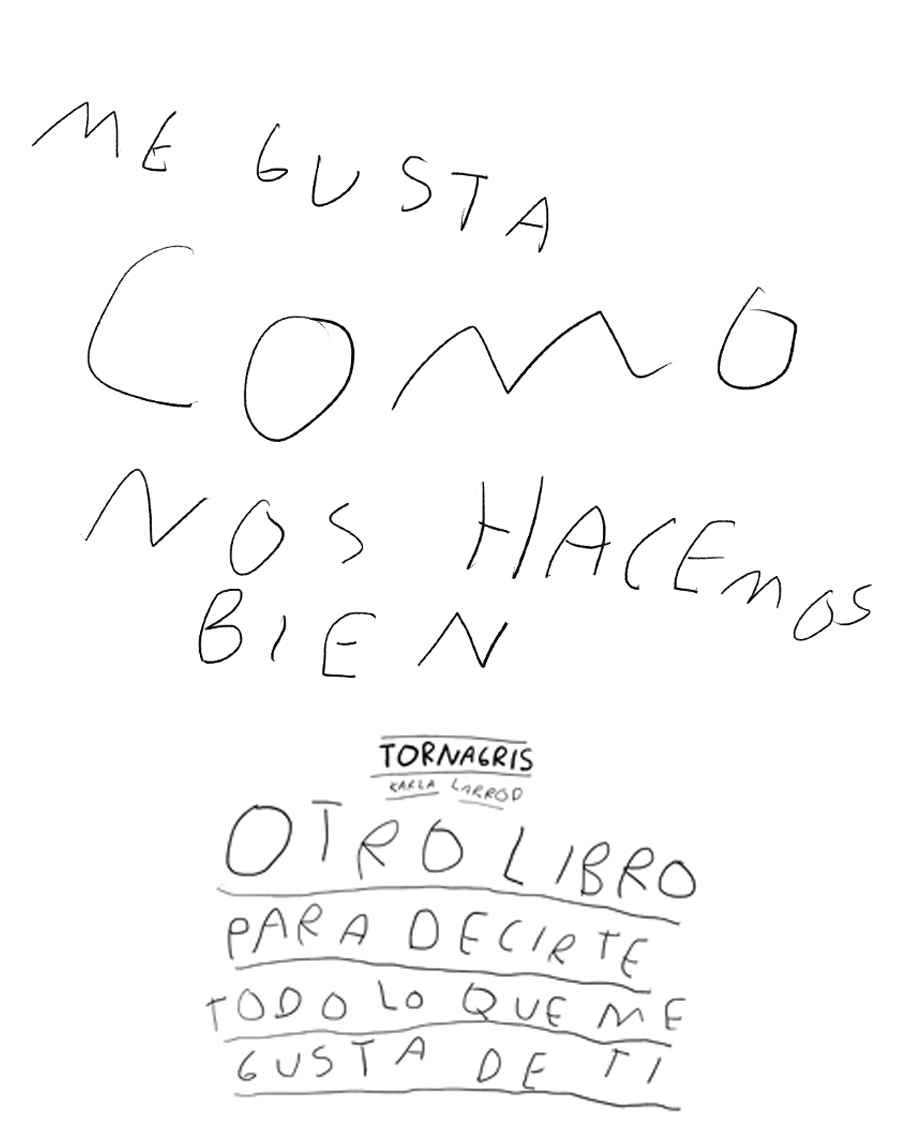 Otro Libro para Decirte Todo lo que Me Gusta de Ti (PDF imprimible) | Libro de amor para regalar - Torna Gris - Artista Mexicano